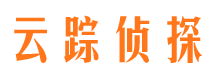 平果市调查公司